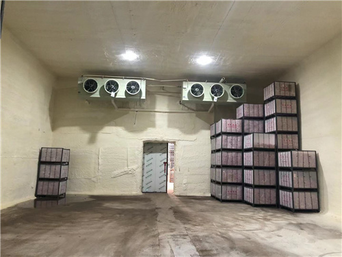 星空平台苹果冷库安装案例